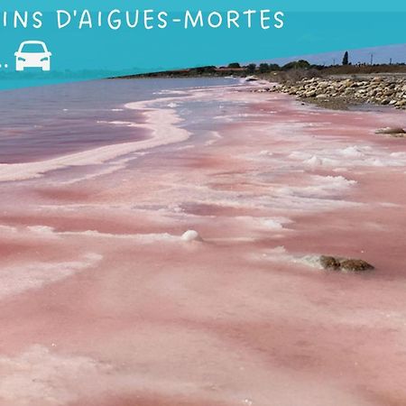 Le Flamant Rose - Cosykaz Apartment Aigues-Mortes Ngoại thất bức ảnh