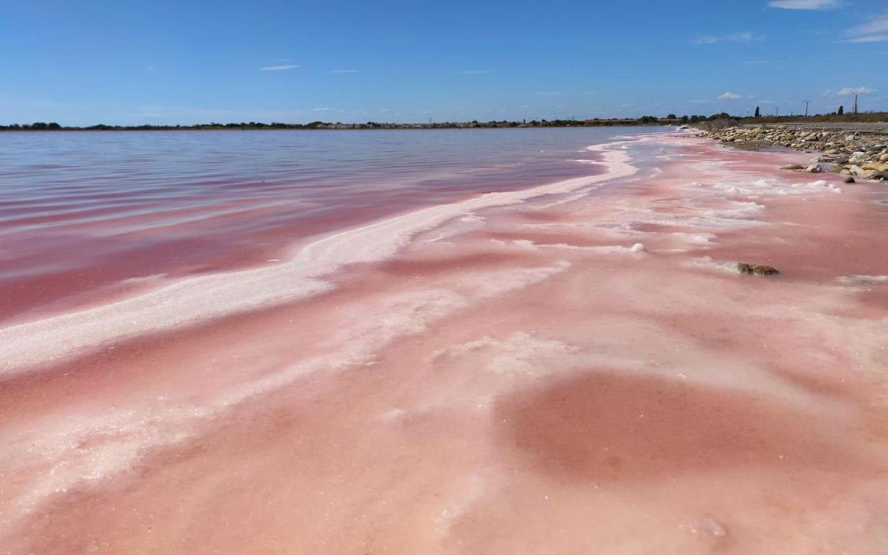 Le Flamant Rose - Cosykaz Apartment Aigues-Mortes Ngoại thất bức ảnh